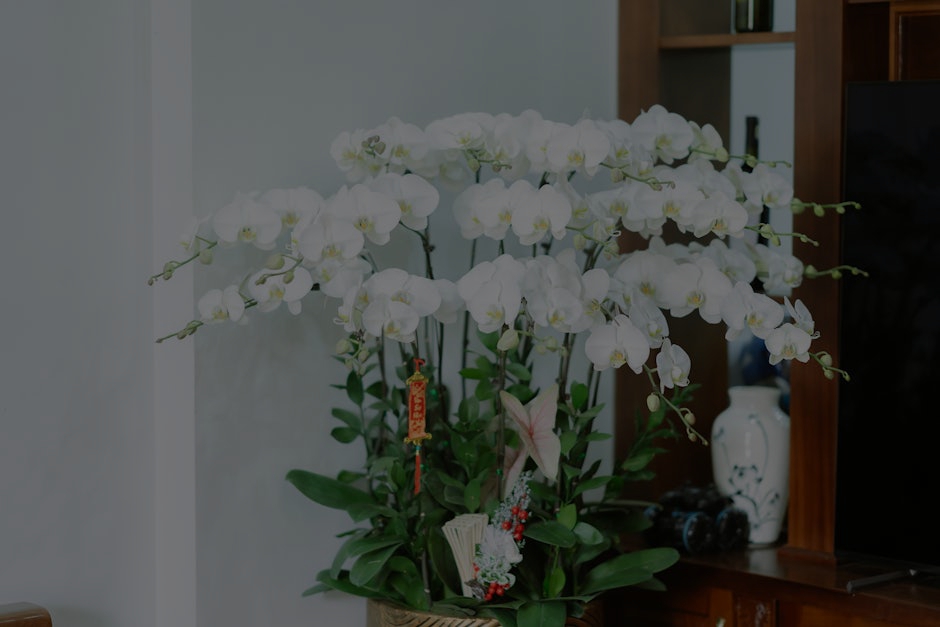 Boost Your Home's Energy- Top Feng Shui Ornaments for a Harmonious Space