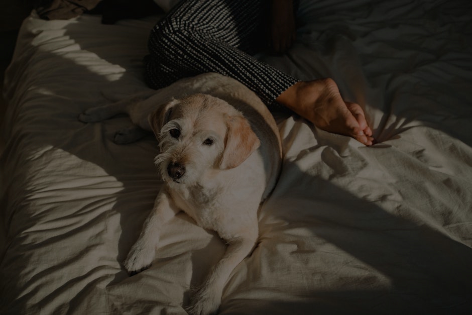 Boost Your Sleep Quality- Best Feng Shui Ornaments for the Bedroom