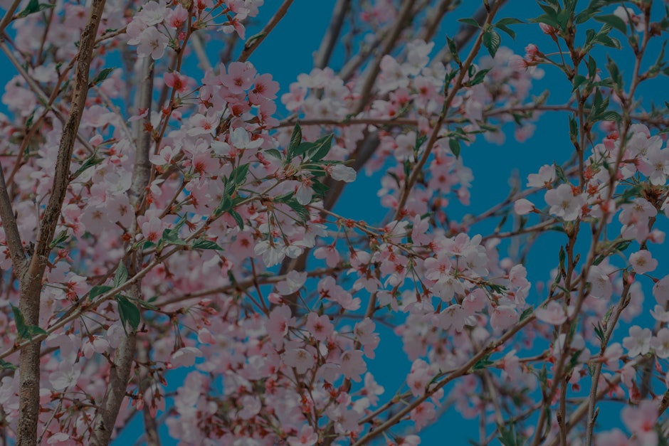 Elevate Your Garden- Feng Shui Ornaments for Outdoor Harmony and Growth