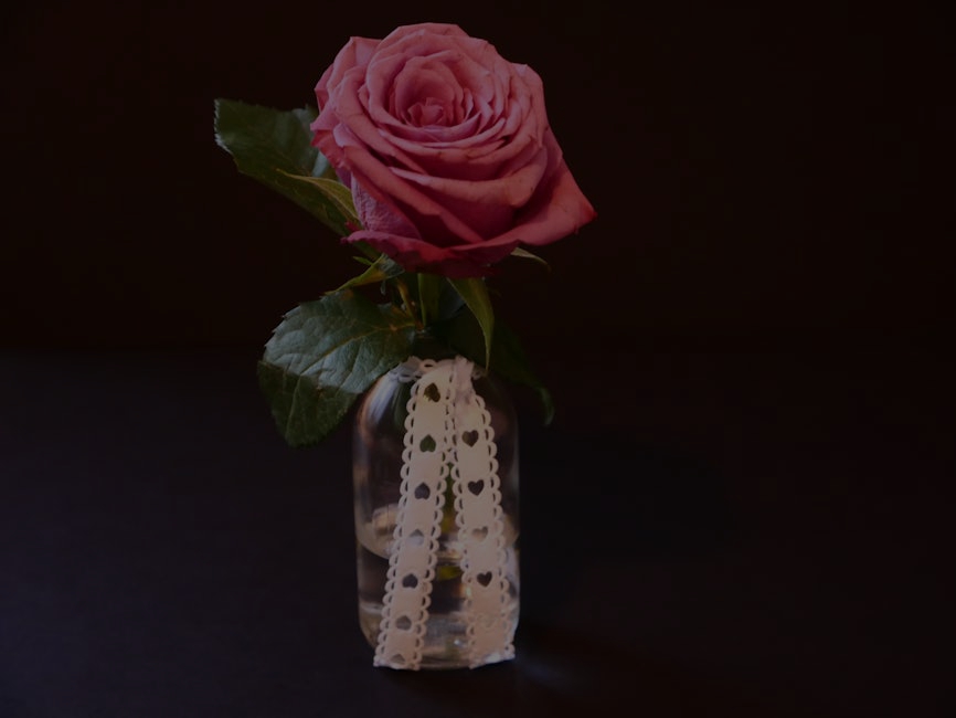 Enhance Your Love Life- Feng Shui Ornaments for Romantic Spaces
