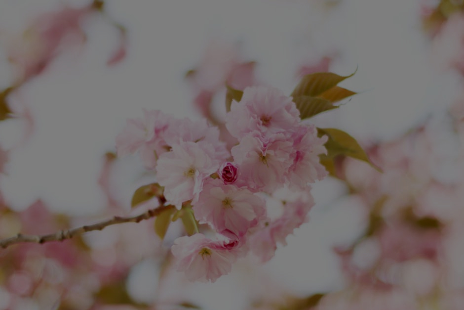 Enhancing Your Garden with Feng Shui- Ornaments for Outdoor Serenity