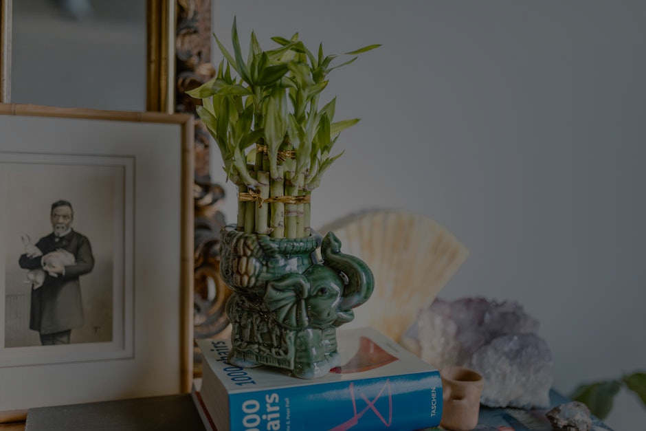 Feng Shui for Beginners- Essential Ornaments to Start With