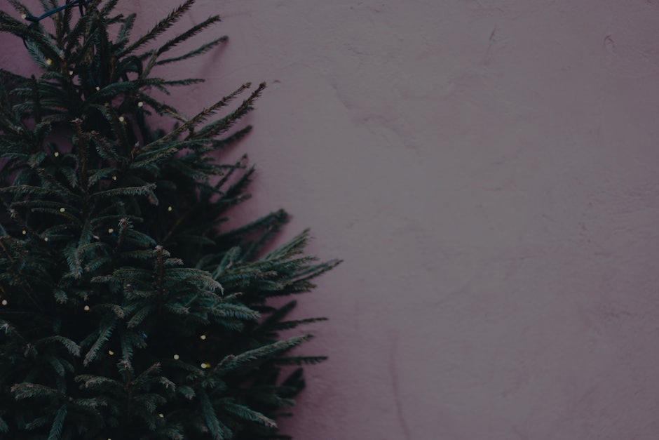 Feng Shui for Beginners- Simple Ornaments to Attract Good Luck