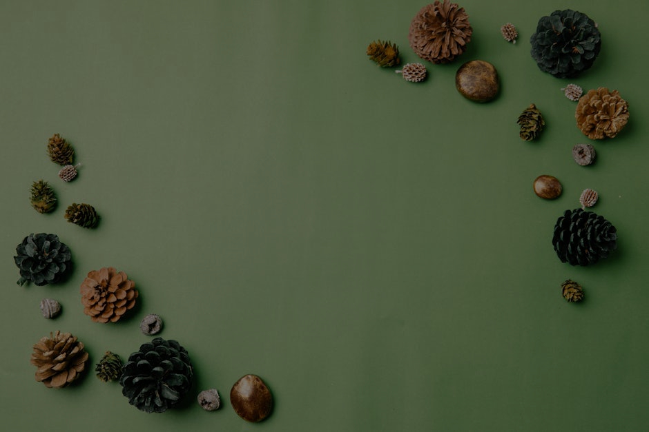 Feng Shui for Homeowners- Essential Ornaments for a Balanced Environment