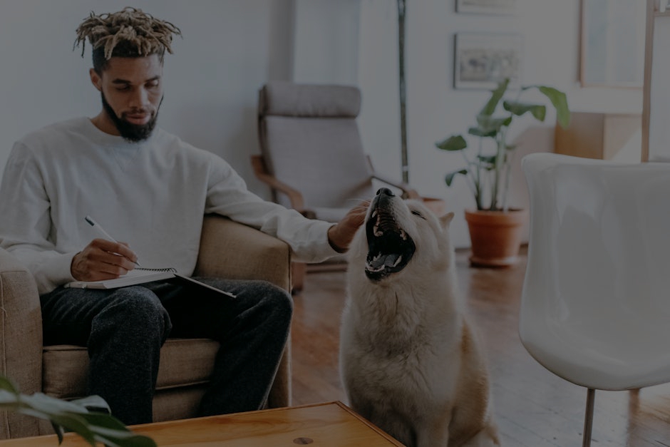 Feng Shui for Pets- Ornaments to Create a Harmonious Space for Your Furry Friends