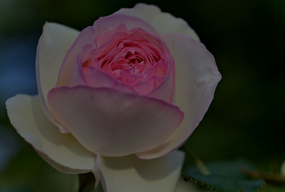 Feng Shui Ornaments- A Guide to Attracting Love and Romance