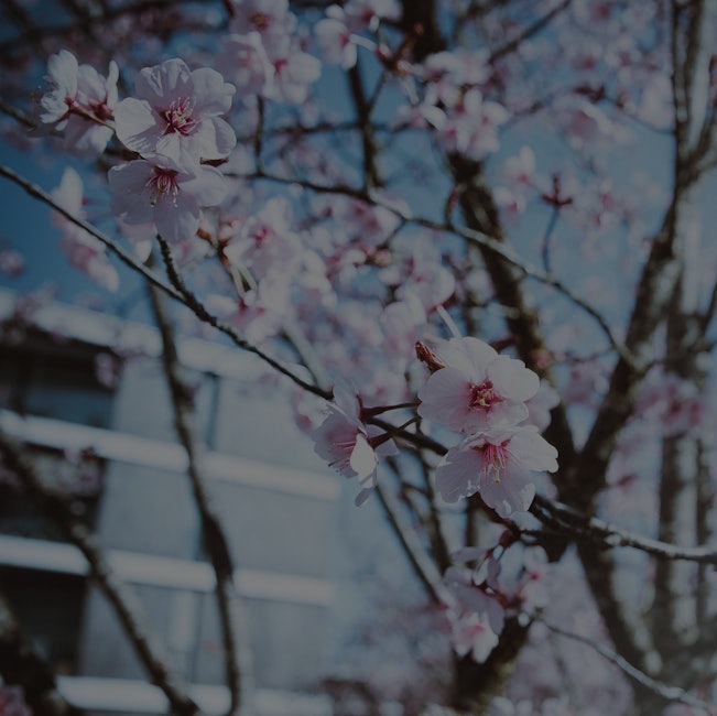 Feng Shui Ornaments for Seasonal Changes- Aligning with Nature