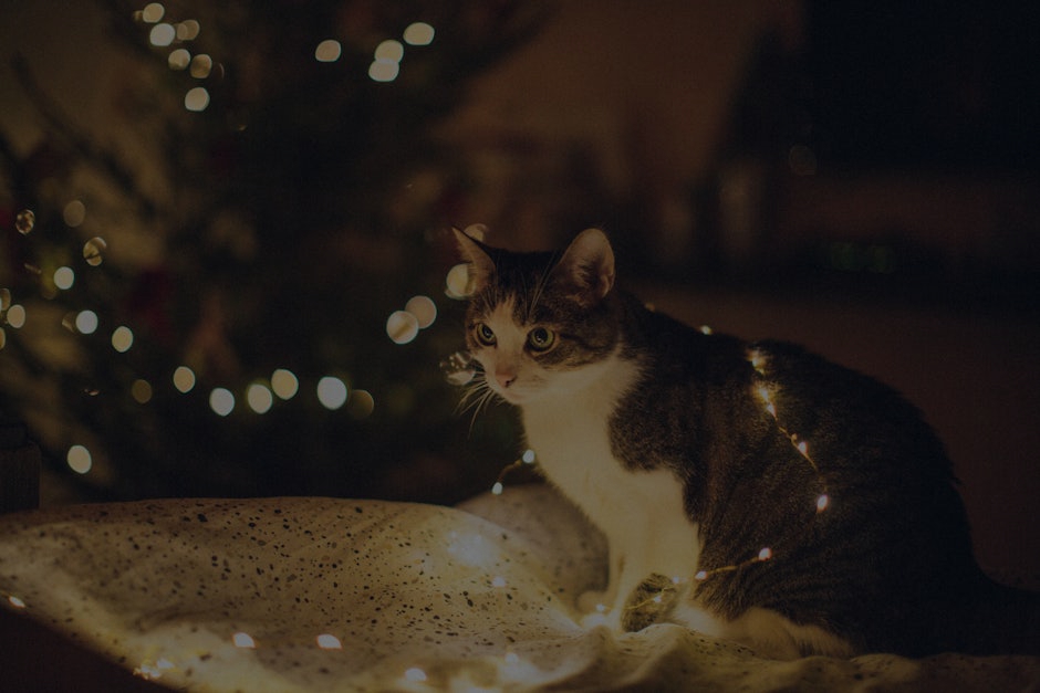 Feng Shui Ornaments for Seasonal Energy Refresh- What to Use