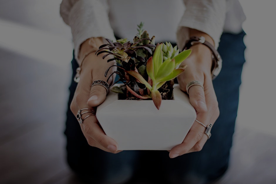 How to Use Feng Shui Ornaments for a Harmonious Home Environment