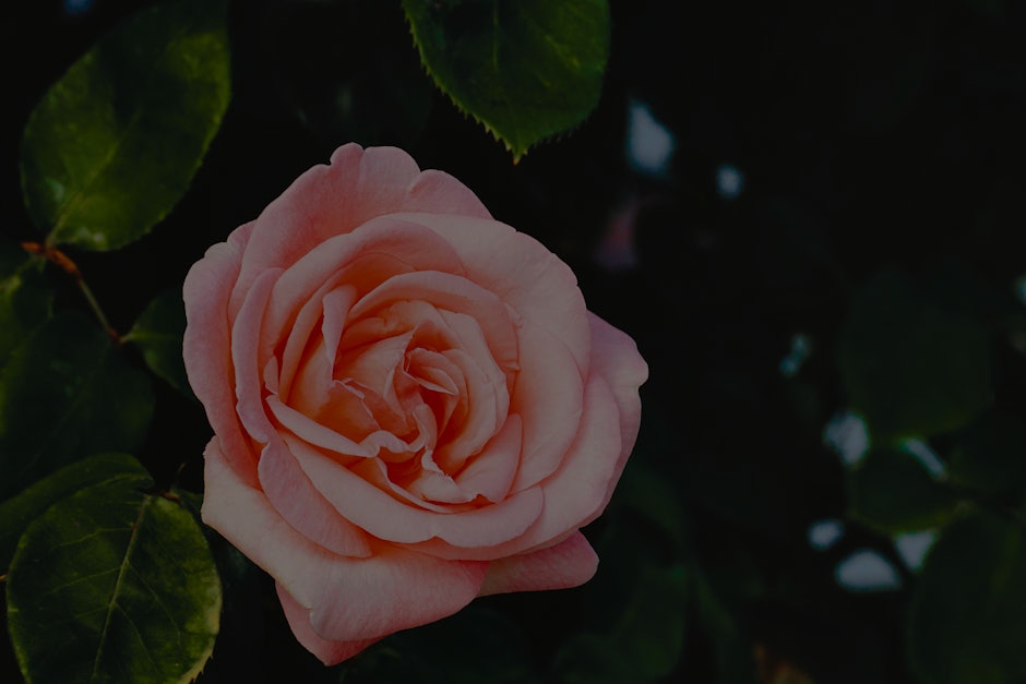 How to Use Feng Shui Ornaments to Improve Your Love Life