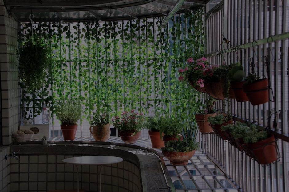 Optimize Your Space- Feng Shui Energy Ornaments for Small Apartments