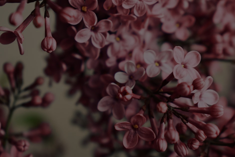Outdoor Feng Shui- Ornaments to Enhance Your Garden’s Energy