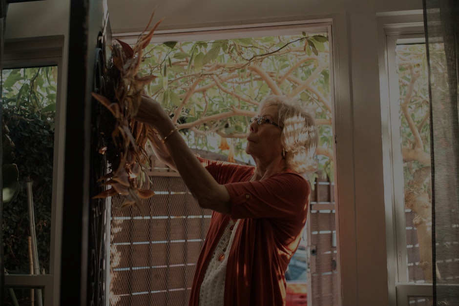 Seasonal Feng Shui- How to Refresh Your Home Decor for Autumn