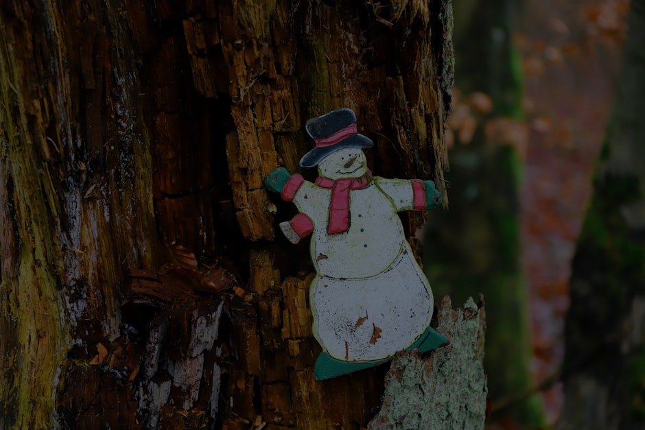 Seasonal Shifts- Feng Shui Energy Ornaments for Fall and Winter Wellness