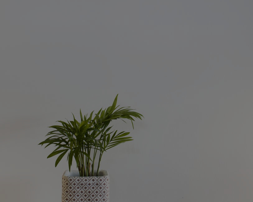 The Best Energy Ornaments for Creating a Peaceful Home Office Environment