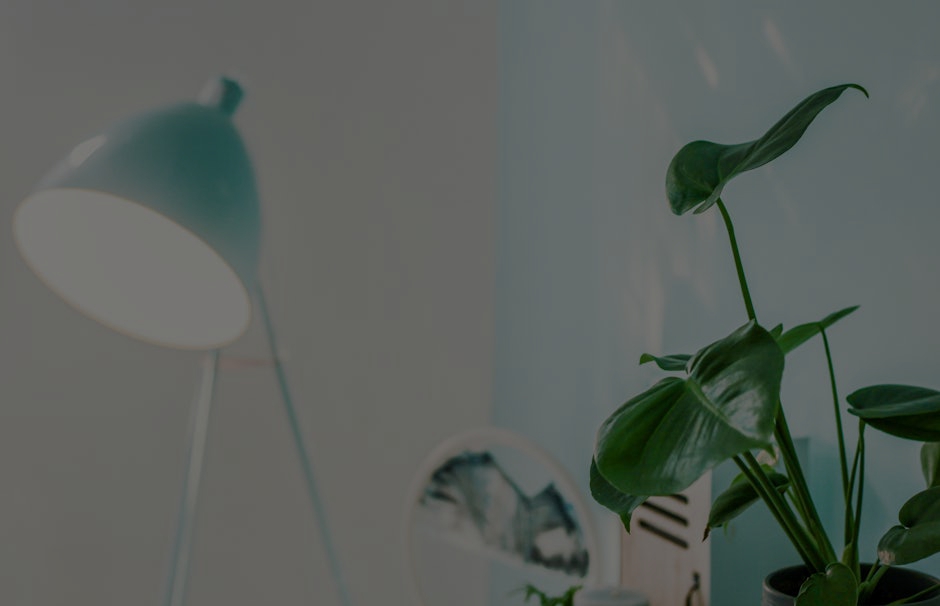 The Best Feng Shui Items for Creating a Calming Home Environment