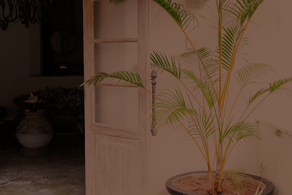 The Best Feng Shui Items to Create a Welcoming Entryway