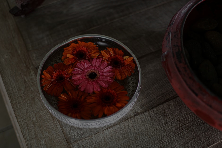 The Impact of Color in Feng Shui- Choosing the Right Ornaments for Your Home