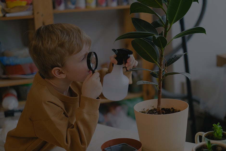 The Role of Water Elements in Feng Shui for Your Home