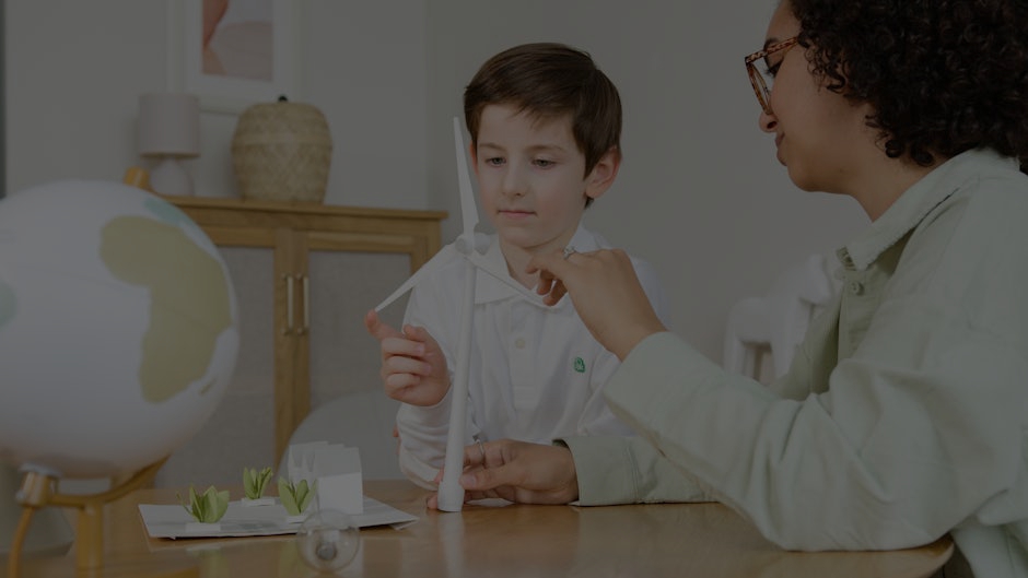 The Science Behind Feng Shui Energy Ornaments- Do They Really Work