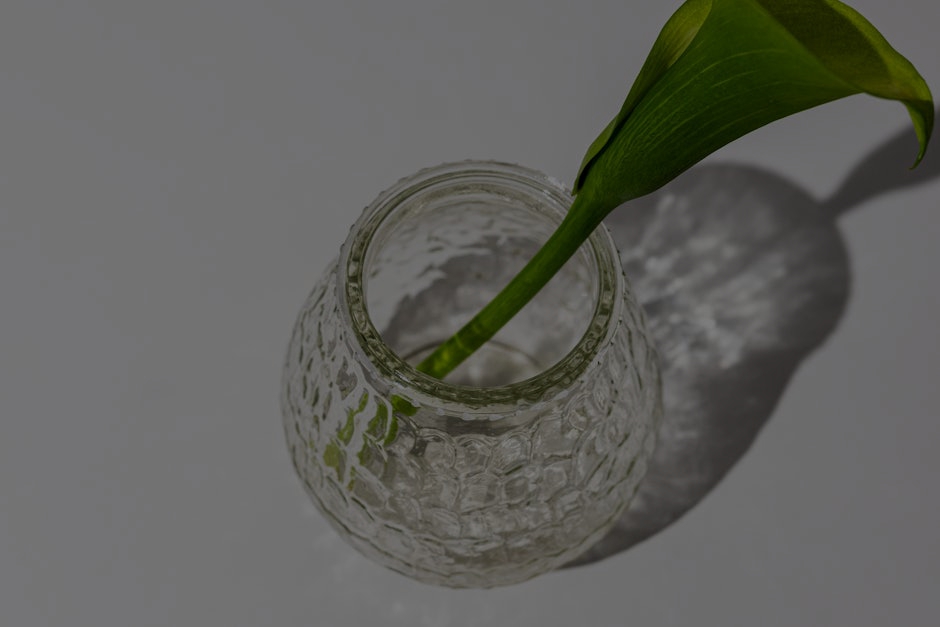 Transform Your Living Room with These Feng Shui Decor Tips