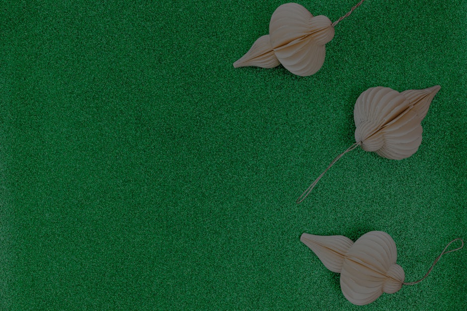 Understanding Feng Shui Colors- Which Ornaments to Choose for Your Space